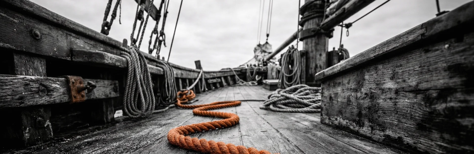Tau auf einem Holzdeck in Schwarzweiß mit orangefarbenem Akzent.